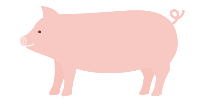 豚イラスト